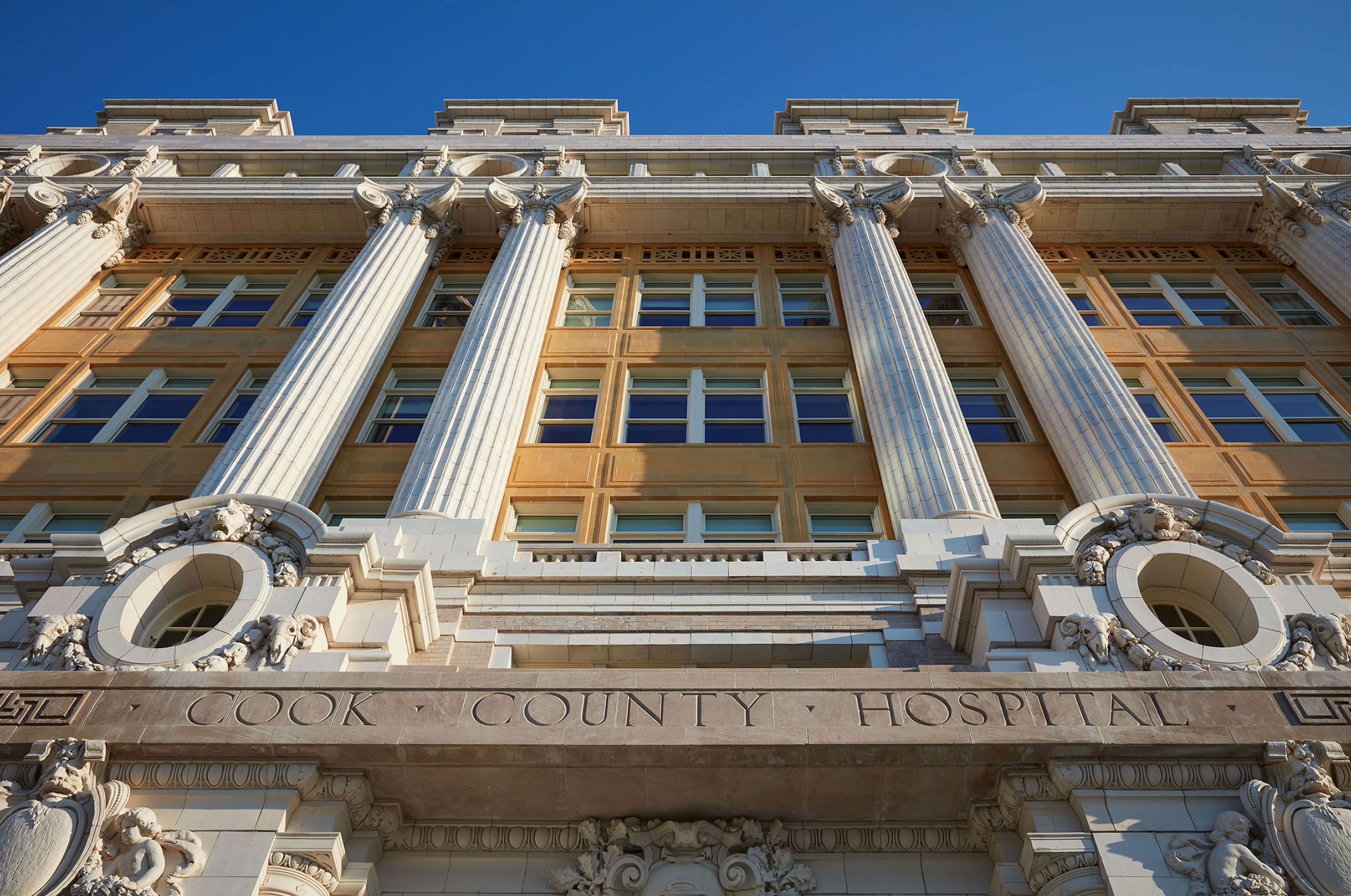 Cook County 022
