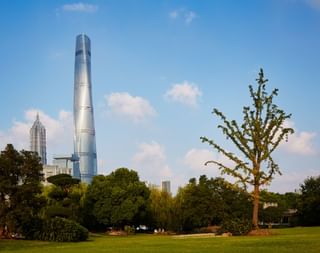 Shanghai Tower 008