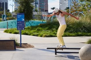 Lincoln Park 007