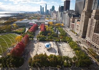 Millennium Park Dave Burk 005