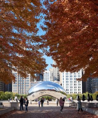 Millennium Park Dave Burk 006