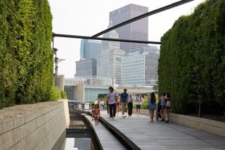 Millennium Park Dave Burk 011