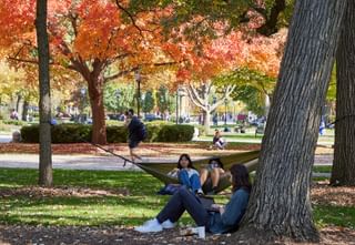 University Of Chicago Dave Burk 010
